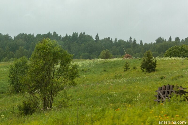 Сенокос под дождем