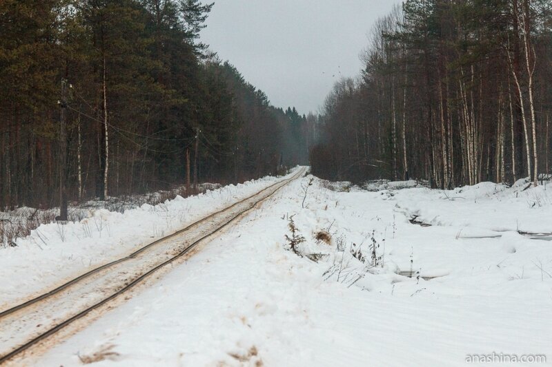 Белоручейская узкоколейная железная дорога, Вологодская область
