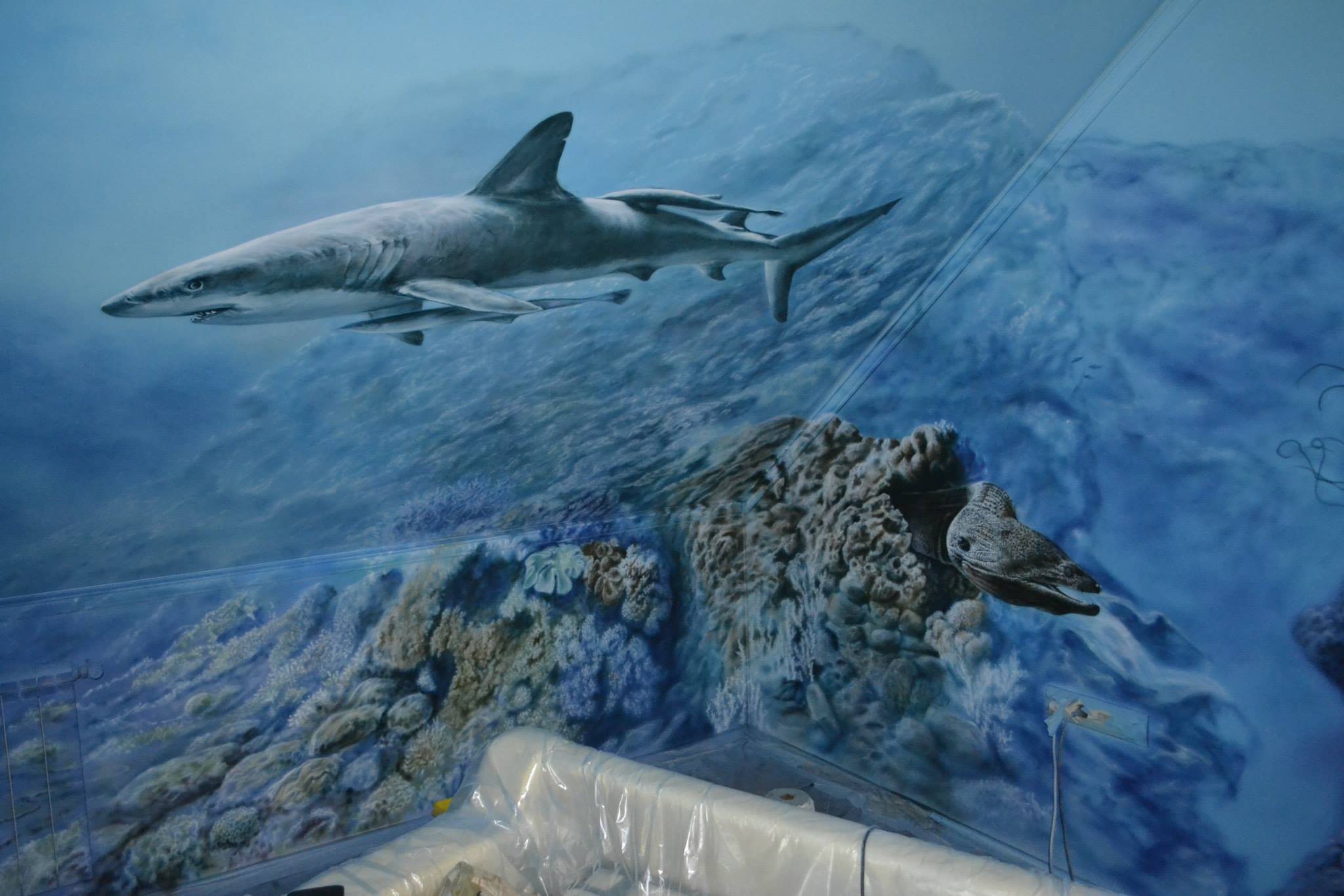 акула в стиле аэрографии на стене