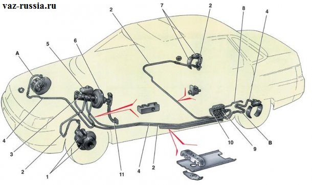 На данной фотографии показана схема тормозной системы, а именно из чего она состоит и где все её состоящие находятся
